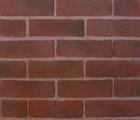 Face Brick 01025