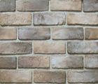 Face Brick 07306 